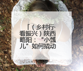 （乡村行·看振兴）陕西略阳：“小瓢儿”如何撬动亿元产业？