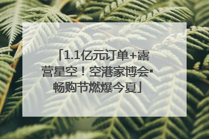 1.1亿元订单+露营星空！空港家博会▪畅购节燃爆今夏
