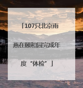 107只北京雨燕在颐和园完成年度“体检”