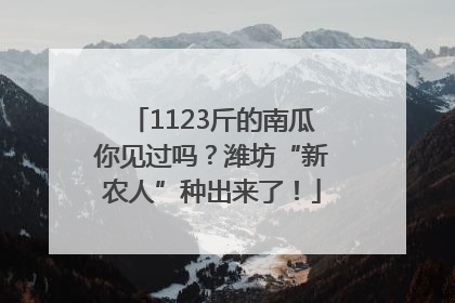 1123斤的南瓜你见过吗？潍坊“新农人”种出来了！