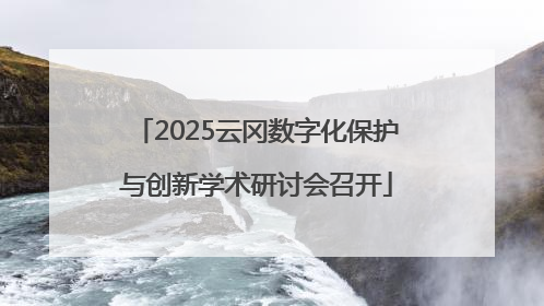 2025云冈数字化保护与创新学术研讨会召开