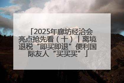 2025年廊坊经洽会亮点抢先看（十）丨离境退税“即买即退”便利国际友人“买买买”