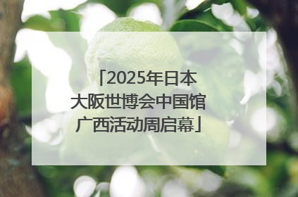 2025年日本大阪世博会中国馆广西活动周启幕