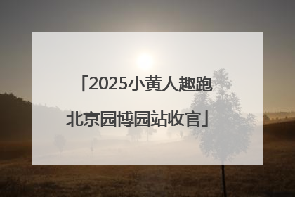 2025小黄人趣跑北京园博园站收官