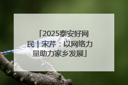 2025泰安好网民｜宋芹：以网络力量助力家乡发展