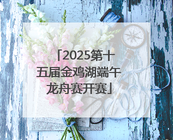 2025第十五届金鸡湖端午龙舟赛开赛