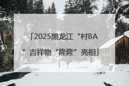 2025黑龙江“村BA”吉祥物“隆隆”亮相