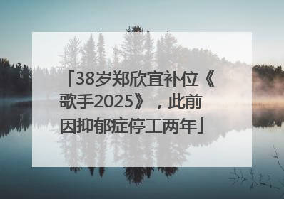 38岁郑欣宜补位《歌手2025》，此前因抑郁症停工两年