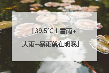 39.5℃！雷雨+大雨+暴雨就在明晚