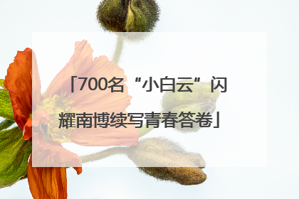 700名“小白云”闪耀南博续写青春答卷