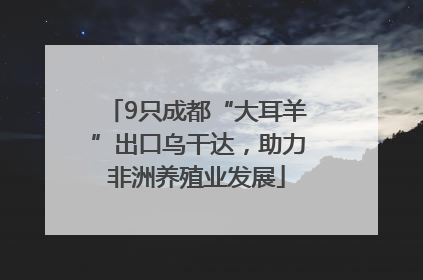 9只成都“大耳羊”出口乌干达，助力非洲养殖业发展