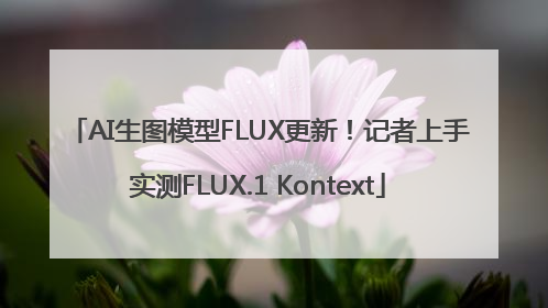 AI生图模型FLUX更新！记者上手实测FLUX.1 Kontext